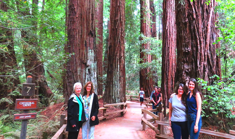 Tagesausflug nach Muir Woods Park mit Mammutbäumen und Sausalito von San Francisco.JPG